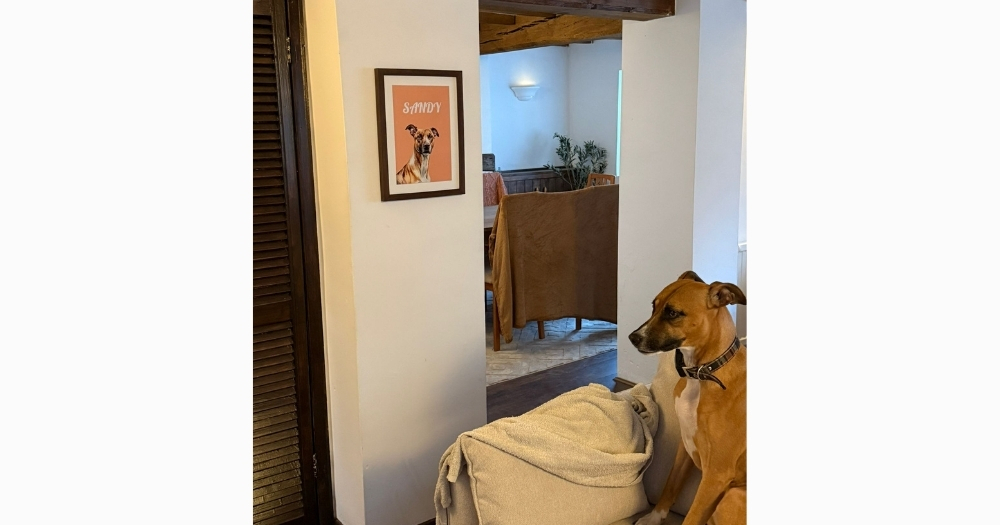 Sandy the dog next to her framed AI pet portrait on a living room wall – try the free CANVASDISCOUNT AI pet portrait generator