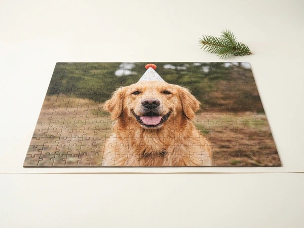 Photo puzzle of a dog wearing a party hat