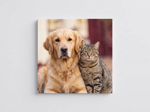 Canvas print of a golden retriever and a tabby cat side by side, the photo wrapping the edges
