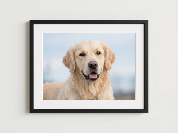 Black framed print of a golden retriever against a pale blue sky