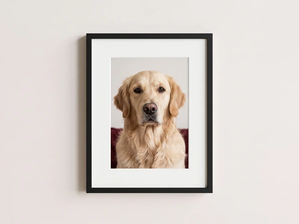 Black framed portrait print of a golden retriever sitting on a red blanket