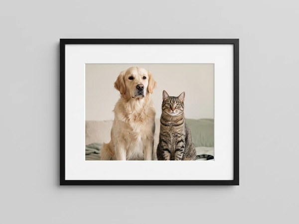 Black framed print of a golden retriever and a tabby cat sitting together