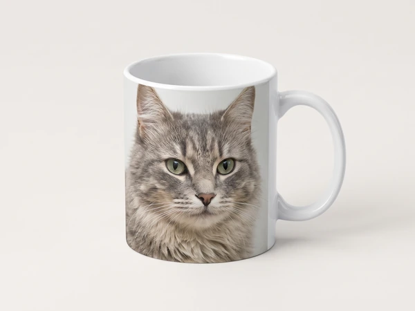 Photo mug printed with the face of a gray long-haired cat