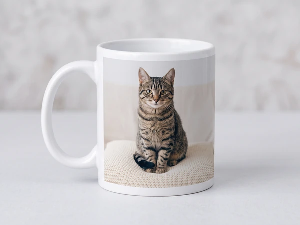 Classic photo mug printed with a tabby cat sitting on a cream cushion