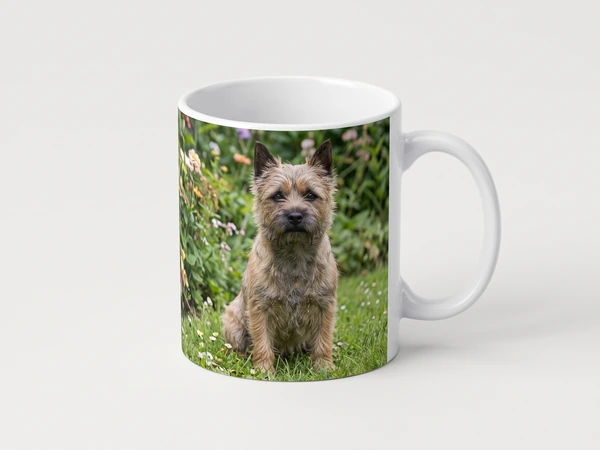 Photo mug printed with a cairn terrier sitting in a garden