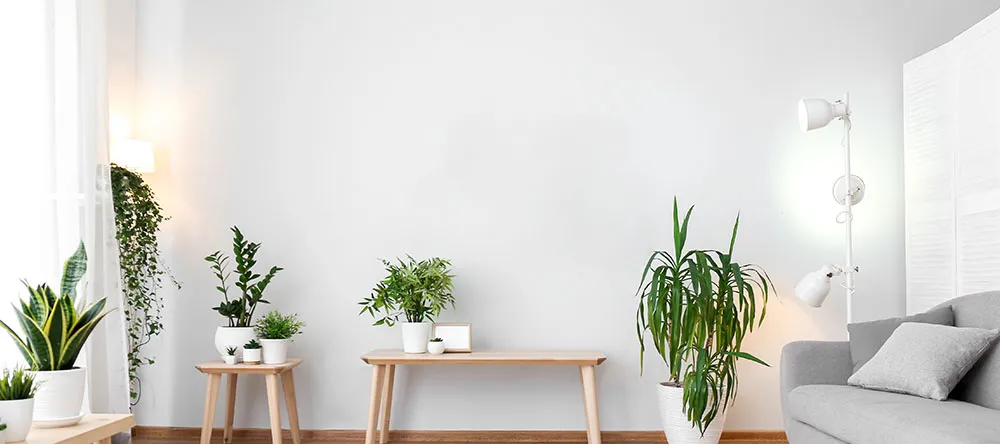 How to Make a Gallery Wall. Bare wall with tables and plants in front.