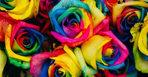 article thumbnail image