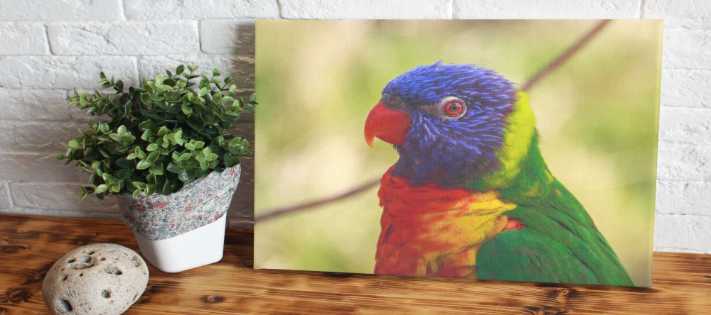 Is canvas waterproof: a canvas print with a printed parrot leaned against the wall