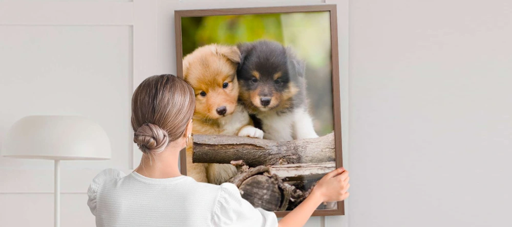 person hanging up large photo print on wall