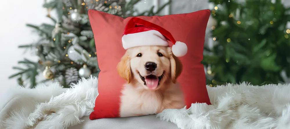 christmas cushion