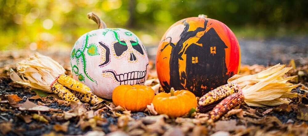 How to Make Personalized Halloween Gifts. Painted pumpkins on ground with corn cobs.