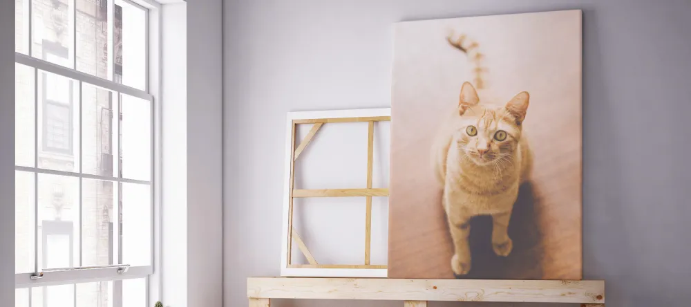 How much does it cost to make a canvas print. Photo canvas print with a cat. 