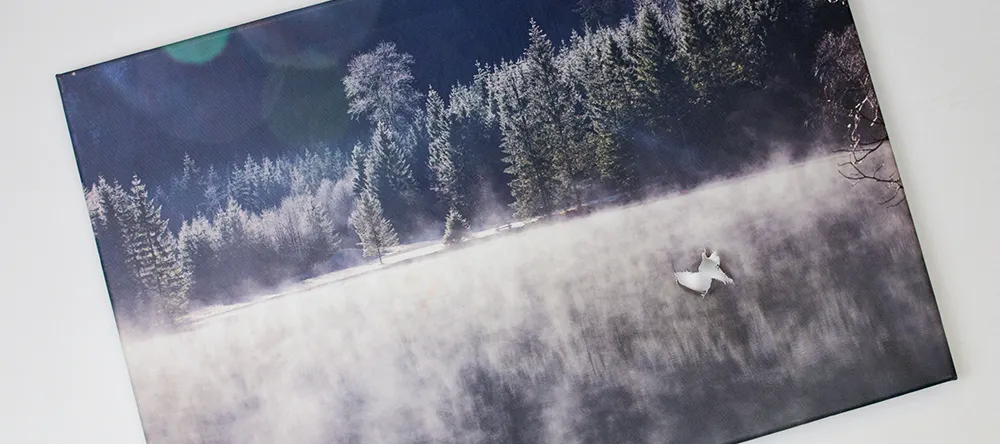 How to fix a ripped canvas. Severely damaged canvas print.