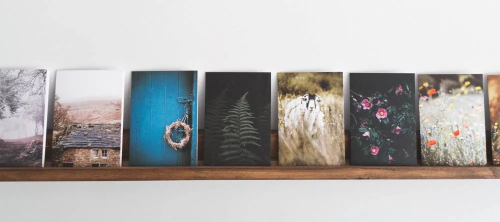 What is the Best Place to Get Canvas Prints on a Budget? Multiple photo canvas prints displayed on shelf.