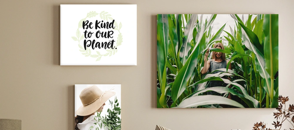 Trendy canvas wall art: a serene nature-inspired canvas wall display
