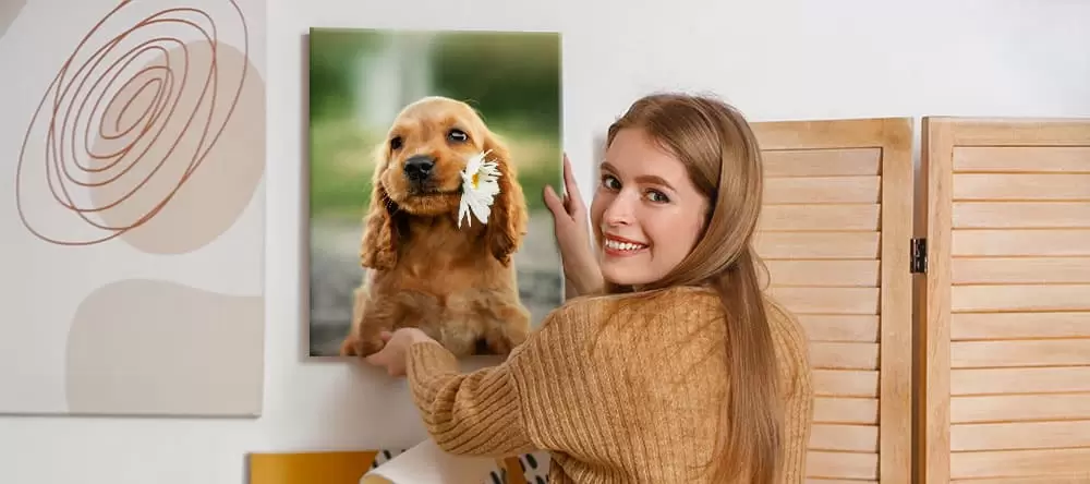 Dog canvas art: woman hanging a spaniel canvas photo on the wall