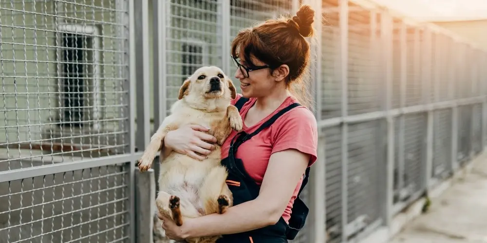 Woman at animal shelter holding a rescue dog on National Puppy Day