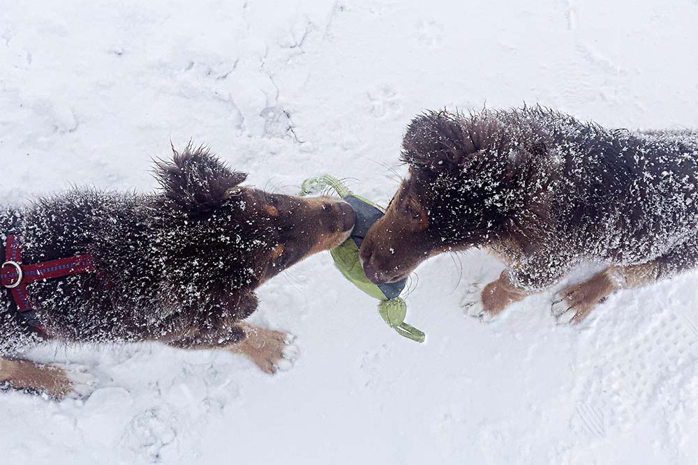 Profanes wirkt verzaubernd
