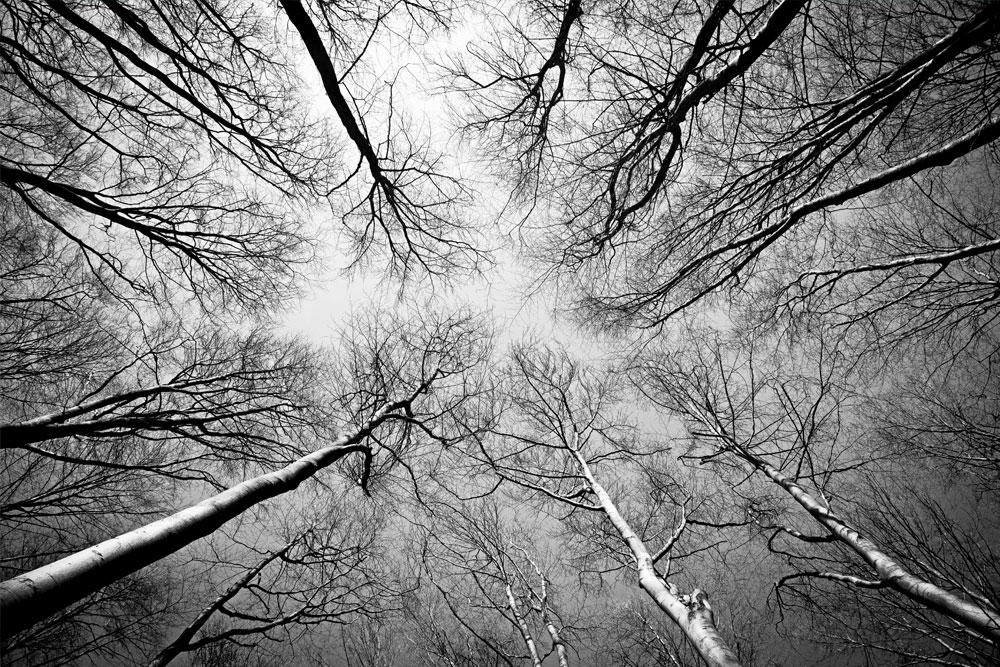 Zu Weiß passt Schwarz ganz ausgezeichnet