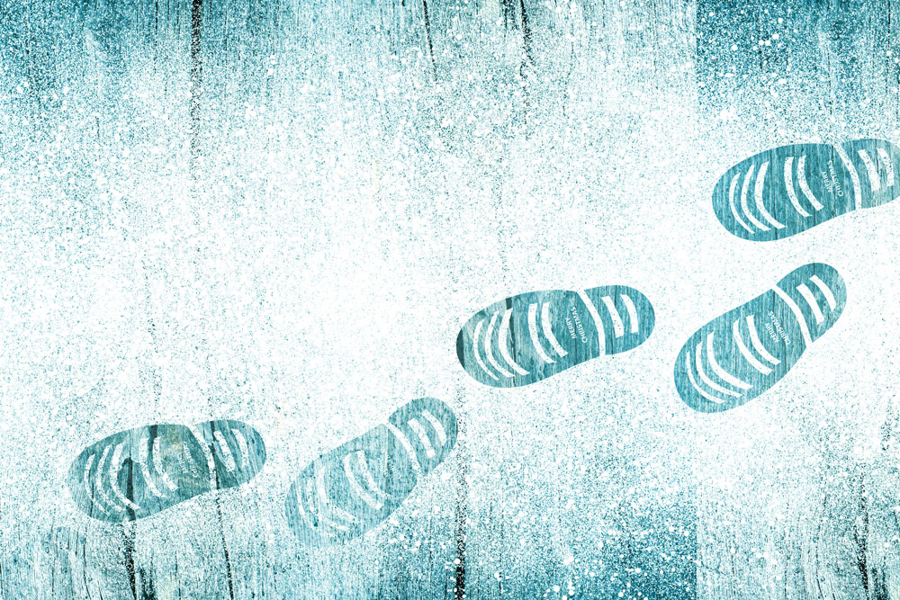 Spurensuche im Winterweiß