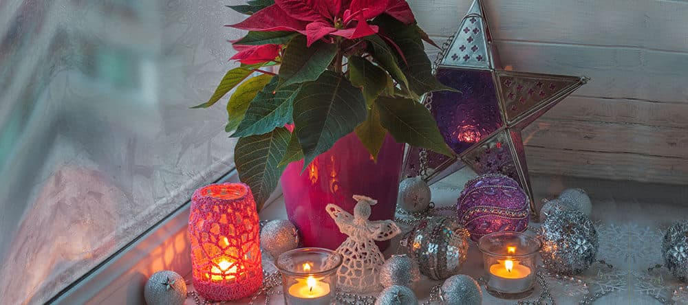 Keinen Platz für einen ganzen Baum? Dekoriere doch einfach mit einer Zimmerpflanze