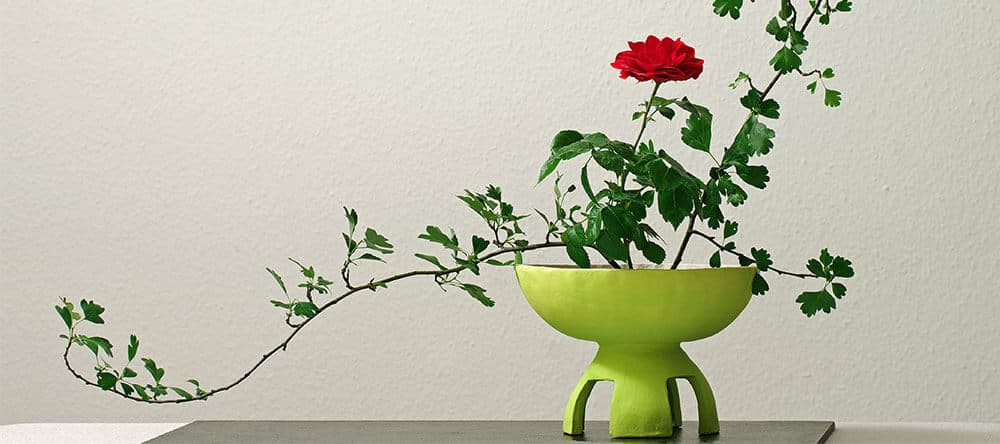 Gestalte deine Pflanzen in interessanten Vasen nach traditionellem Vorbild