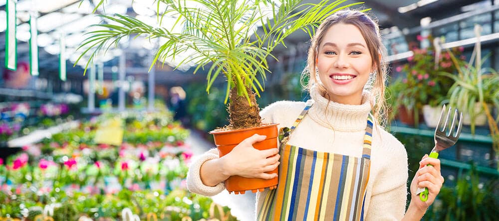 Kombiniere Palmen und Farne mit bunten Blumen für eine optimale Atmosphäre