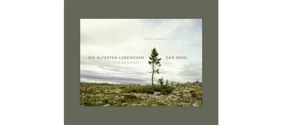 artikelbild fotobildbaende