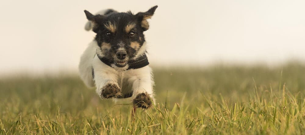 Die Welt mit anderen Augen sehen – leg dich für ein Foto zum Beispiel auf den Boden