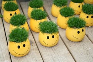 Farbenfrohe Blumentöpfe