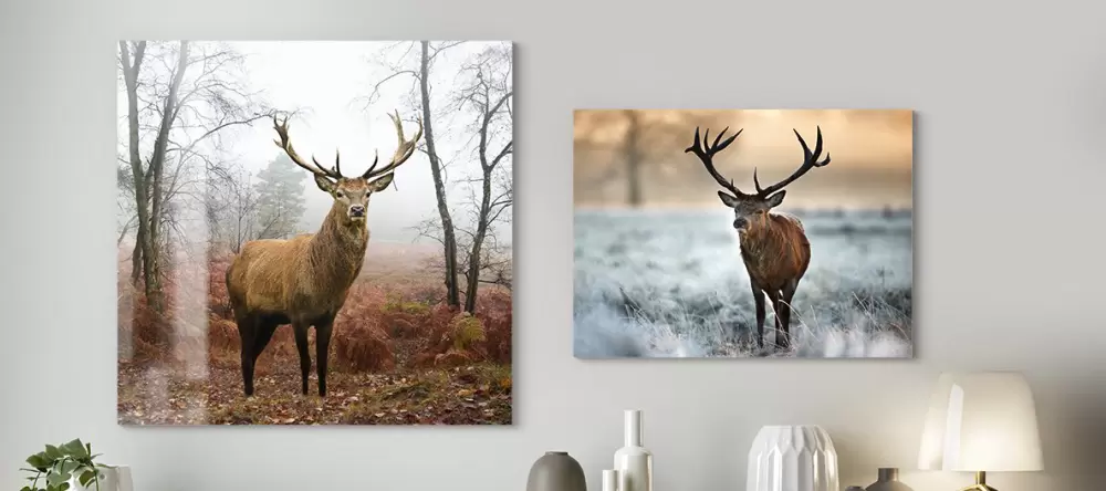 Alu Dibond oder Acrylglas - Matt Glänzend Vergleich