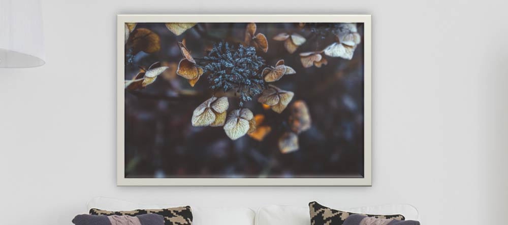 What is a Canvas Print? Photo canvas print with decorative frame.
