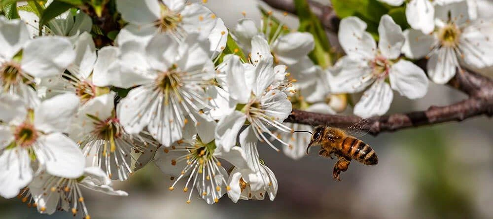 It can be very helpful to take a few steps to get closer to your target